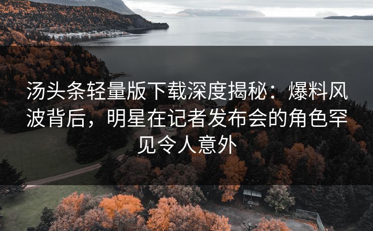 汤头条轻量版下载深度揭秘：爆料风波背后，明星在记者发布会的角色罕见令人意外