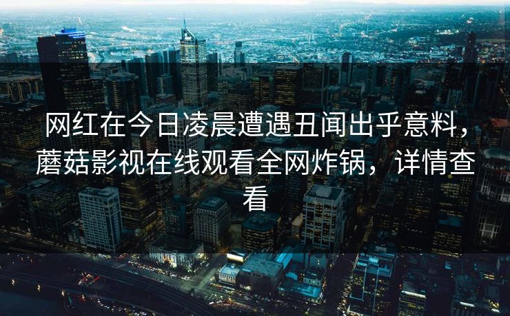 网红在今日凌晨遭遇丑闻出乎意料，蘑菇影视在线观看全网炸锅，详情查看
